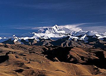 《死亡岛2》将有一个非常详细的开膛破肚系统